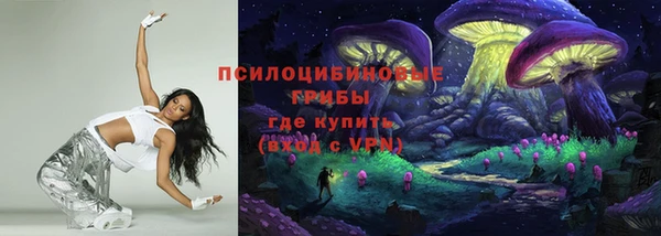 гашик Баксан