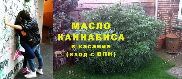 молекула духа Балахна