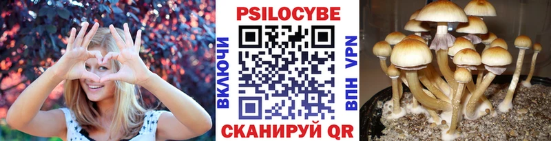 Купить  Белозерск  Галлюциногенные грибы Magic Shrooms 